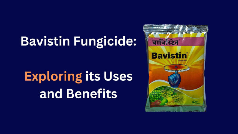 Uses and Benefits of Bavistin Fungicide